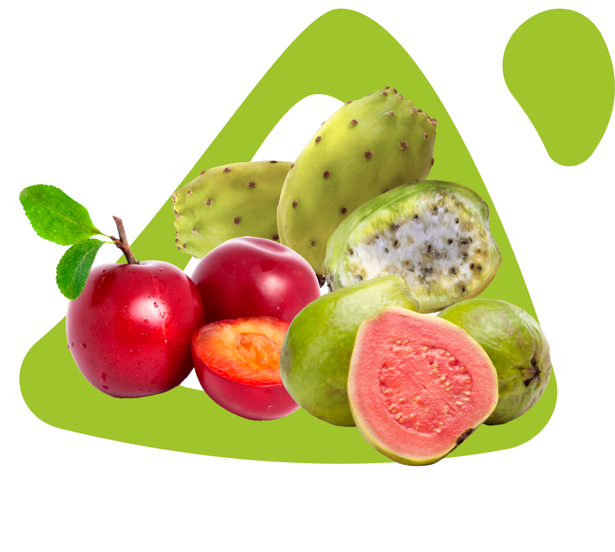 Frutas